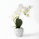 Artificial Plant